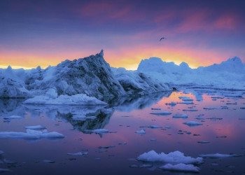 Eisberge in der Diskobucht