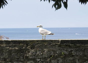 Mediterrane Stimmung an der Adria