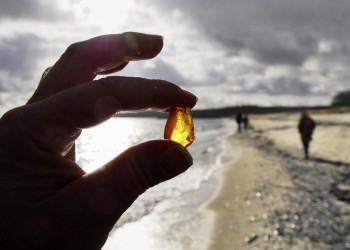 Bernsteinfund am Strand