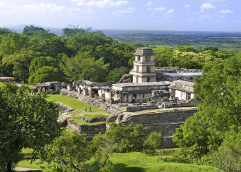 Die Mayastätte Palenque in Mexiko