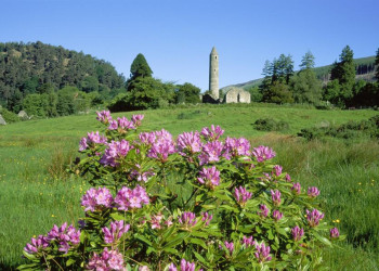 Klosterruine Glendalough, Irland