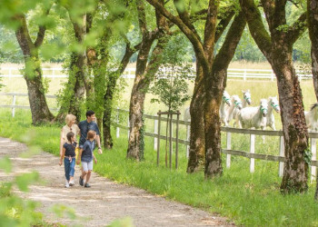 Lust auf einen Spaziergang im Grünen?