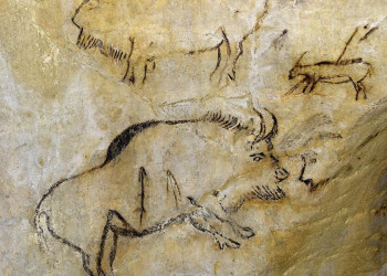 Höhlenmalereien in Niaux