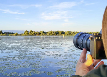 Im Donaudelta