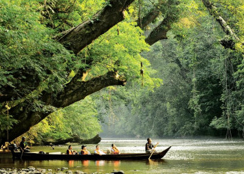 Bootsfahrt im Taman-Negara-Nationalpark