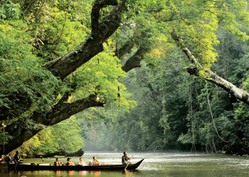 Bootsfahrt im Taman-Negara-Nationalpark